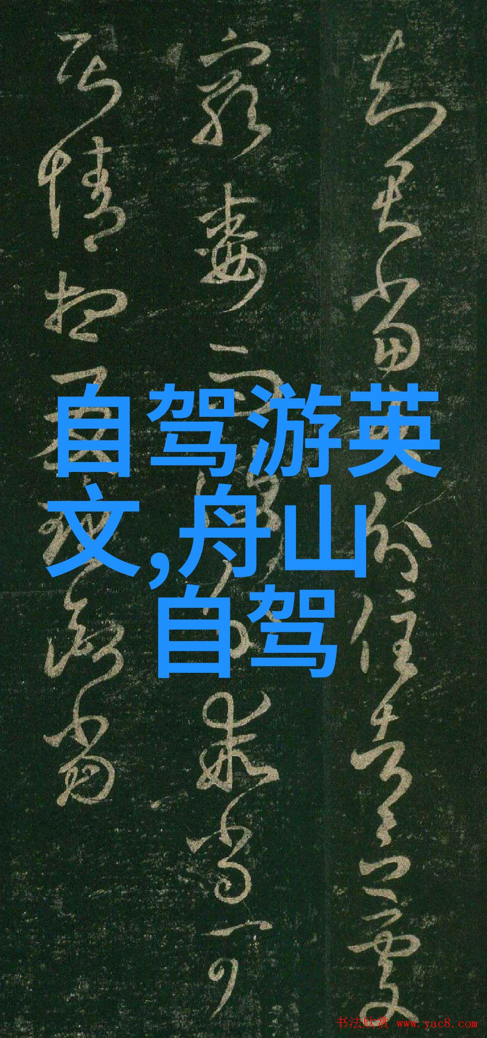 上海之恋探索宝石岛的魅力与秘密