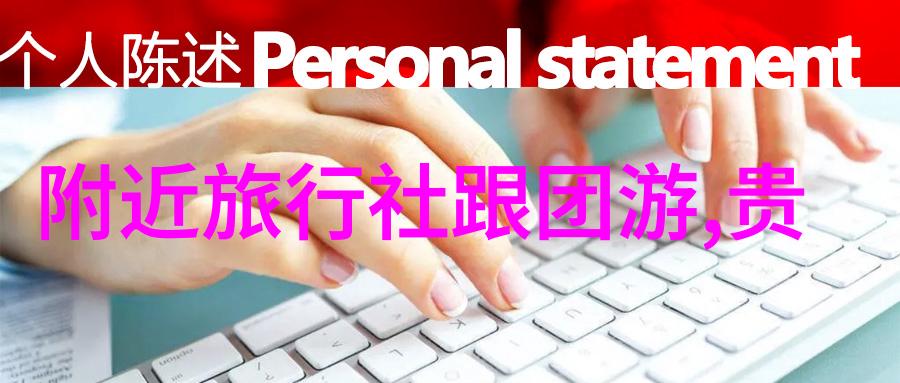 网络之旅一场寻伴的谜题