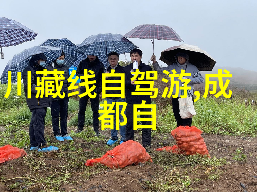 唐僧归来五行齐欢