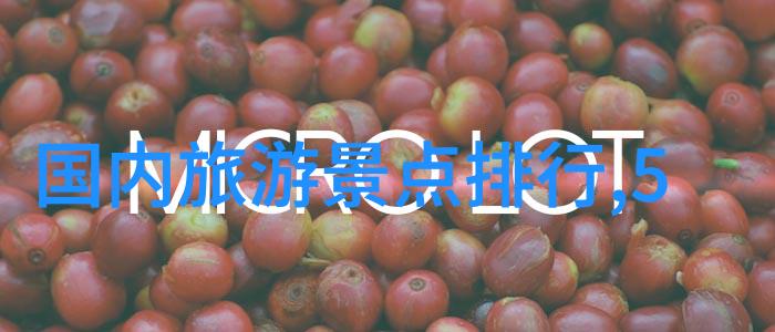 携程旅行大师轻松下载安装开启您的旅途之旅