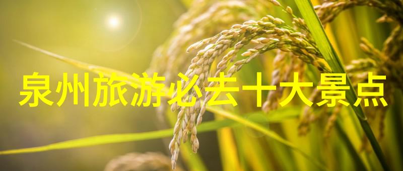 主题-8月美丽篇章揭秘国内旅游最佳目的地