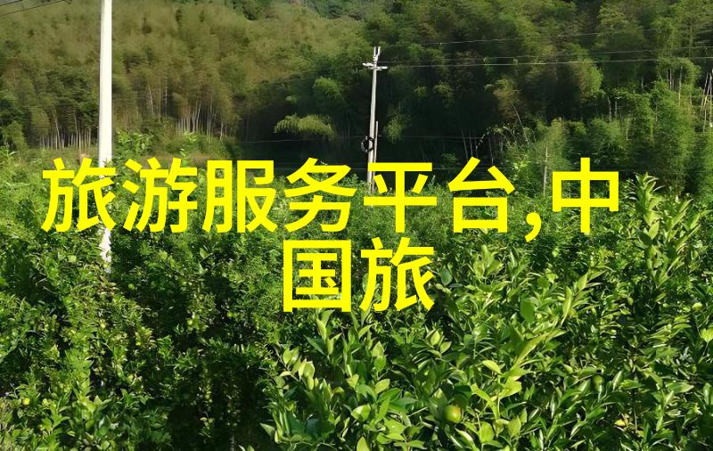 成都文化体验探访古迹博物馆和艺术街区