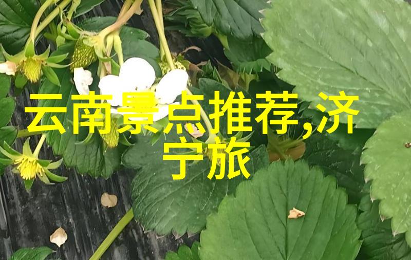 中国开放出境旅游 - 风采展开中国的国际旅游新篇章