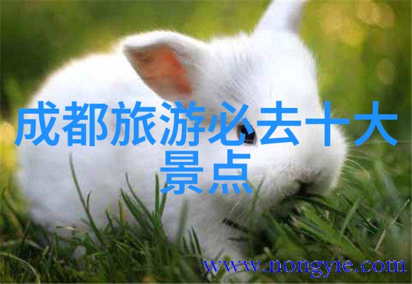在丽江可以尝试哪些当地特色美食