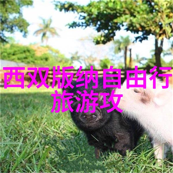 主题我去过的那些世界著名旅游景点具体内容待补充