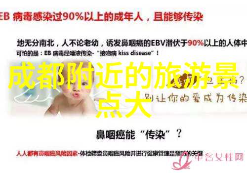 荒野猎象记非洲大地上的笑话与啼笑皆非