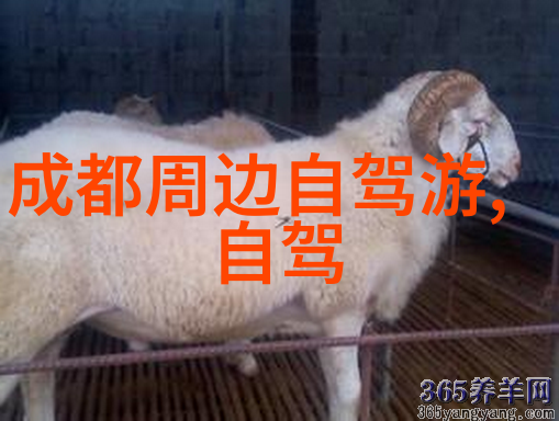 京味风情北京旅游必尝小吃指南