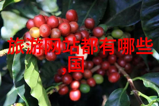 潮汕美食探秘南粤之味的诱惑者