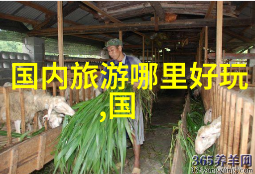 城中美食印象里的味道盛宴