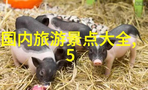 探索安徽美景的自驾之旅穿梭古都寻觅自然风光
