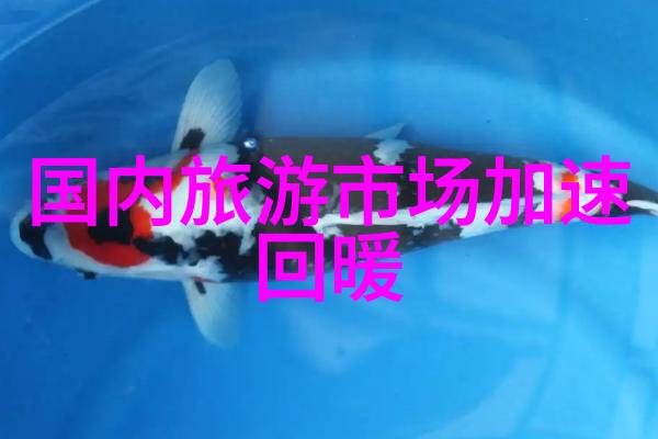 荒岛求生vs都市奢华一网通吃最新旅游风潮