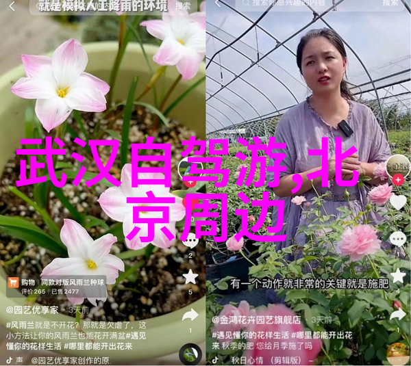 主题我眼中的骑行人群特征他们是怎样的风景