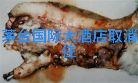 贵州自驾游探索黔东南的自然奇迹