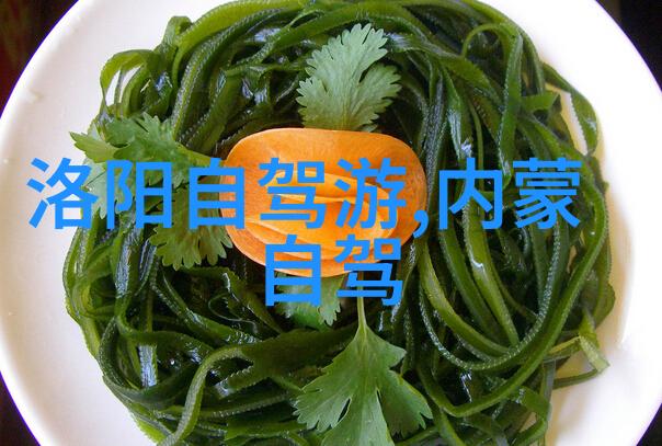 上海之冠探索城市魅力的十大奇迹