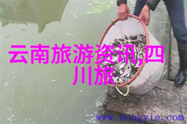香格里拉旅游攻略探索神秘之地的指南