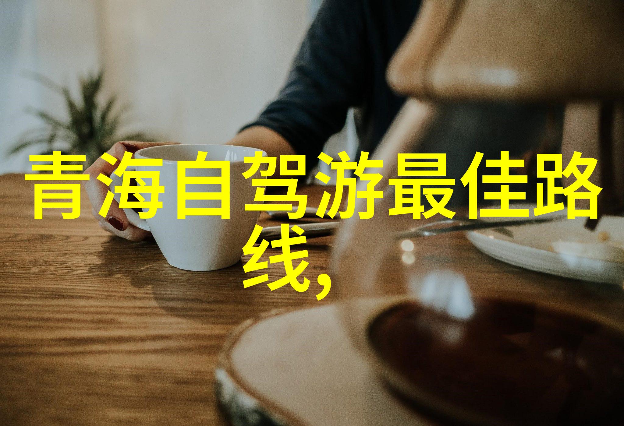 武汉自驾游 - 武汉之旅探索黄鹤楼与东湖的魅力行程