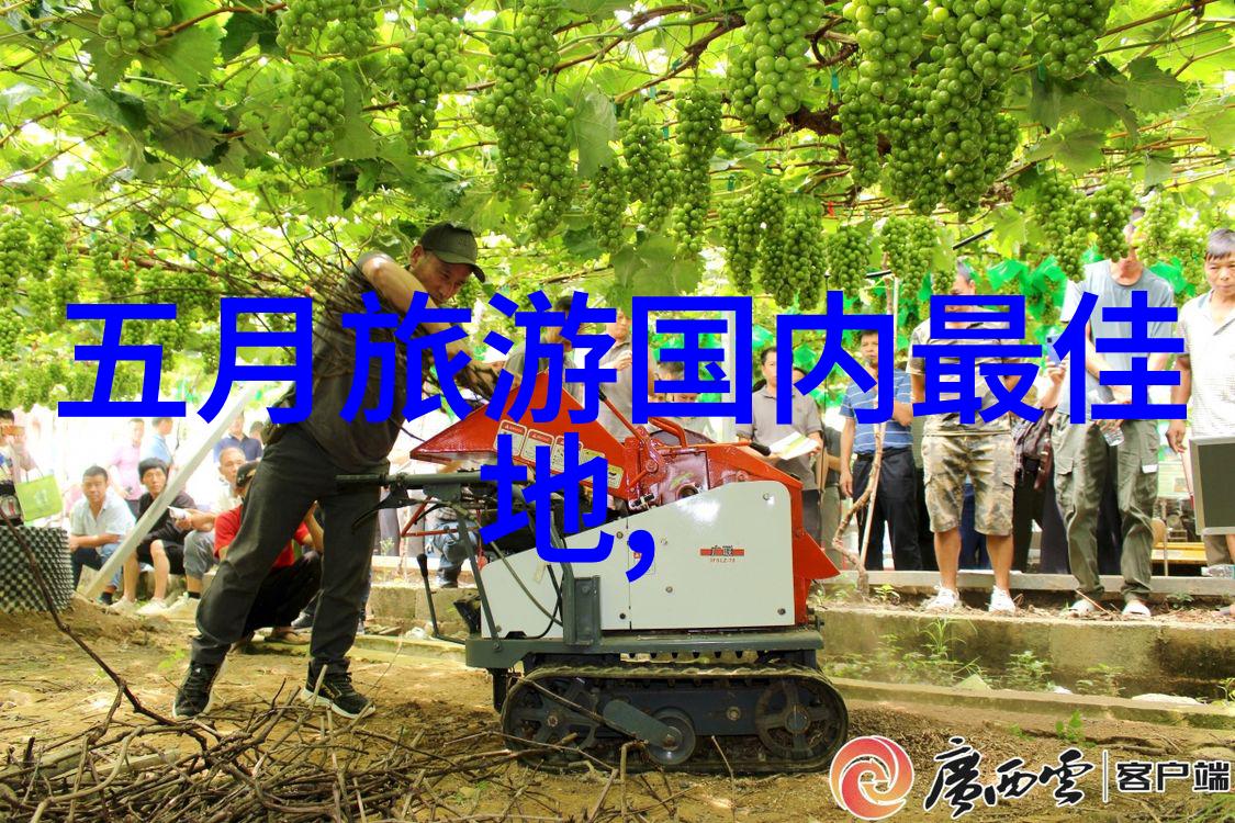 湛江浪漫之都探索这座城市最美好玩的景点