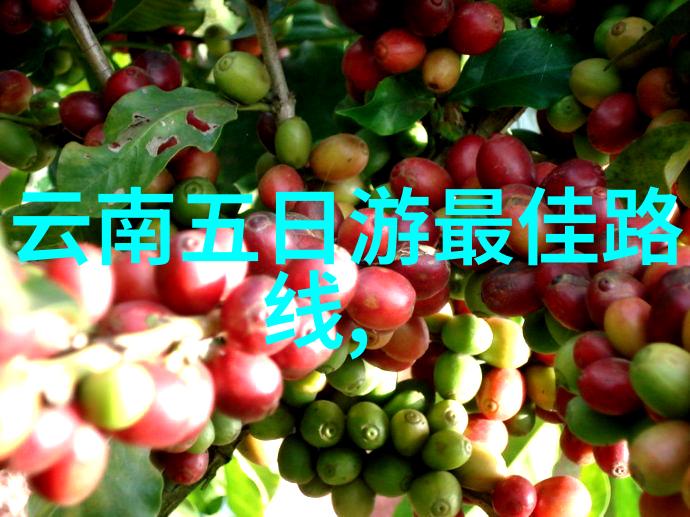 探索贵州之美必游景点全览与旅行攻略