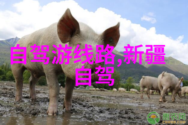 跨年狂欢一场激情与欢笑的盛宴