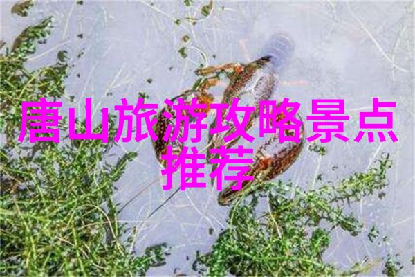 不见天日的角落里的声音探索那些被遗忘地区的数据之谜