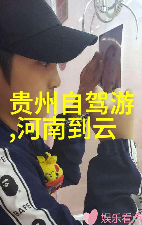 从街头小吃到宫廷佳肴全国各地特色美食的反差风采