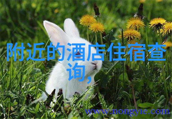 趣味生活-50个趣味单人项目点亮个人创造力与快乐时光