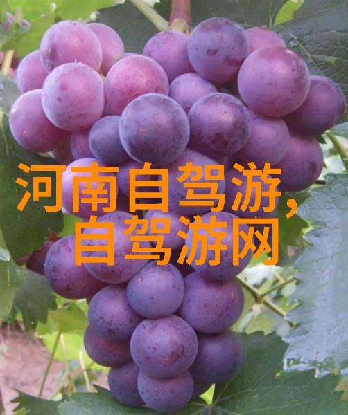 上班买山地车还是公路车亲测分享