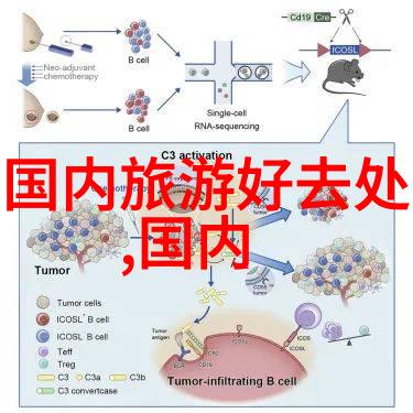 内蒙古最好玩的地方从草原到沙漠开启你的野性之旅