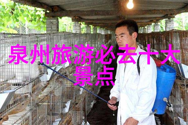 五一长假自驾游必去景区畅游祖国大地的美好之选