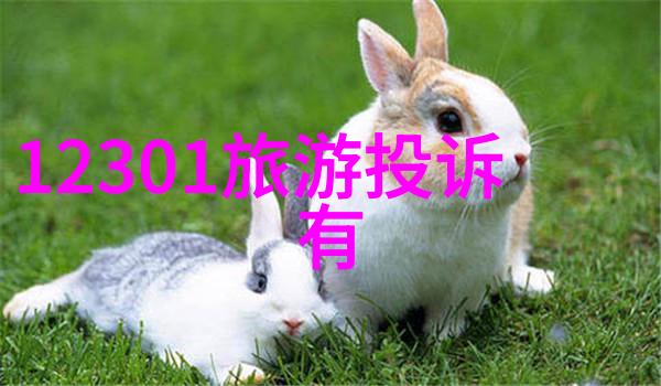 翱翔青天的旅途探索江南第一峰