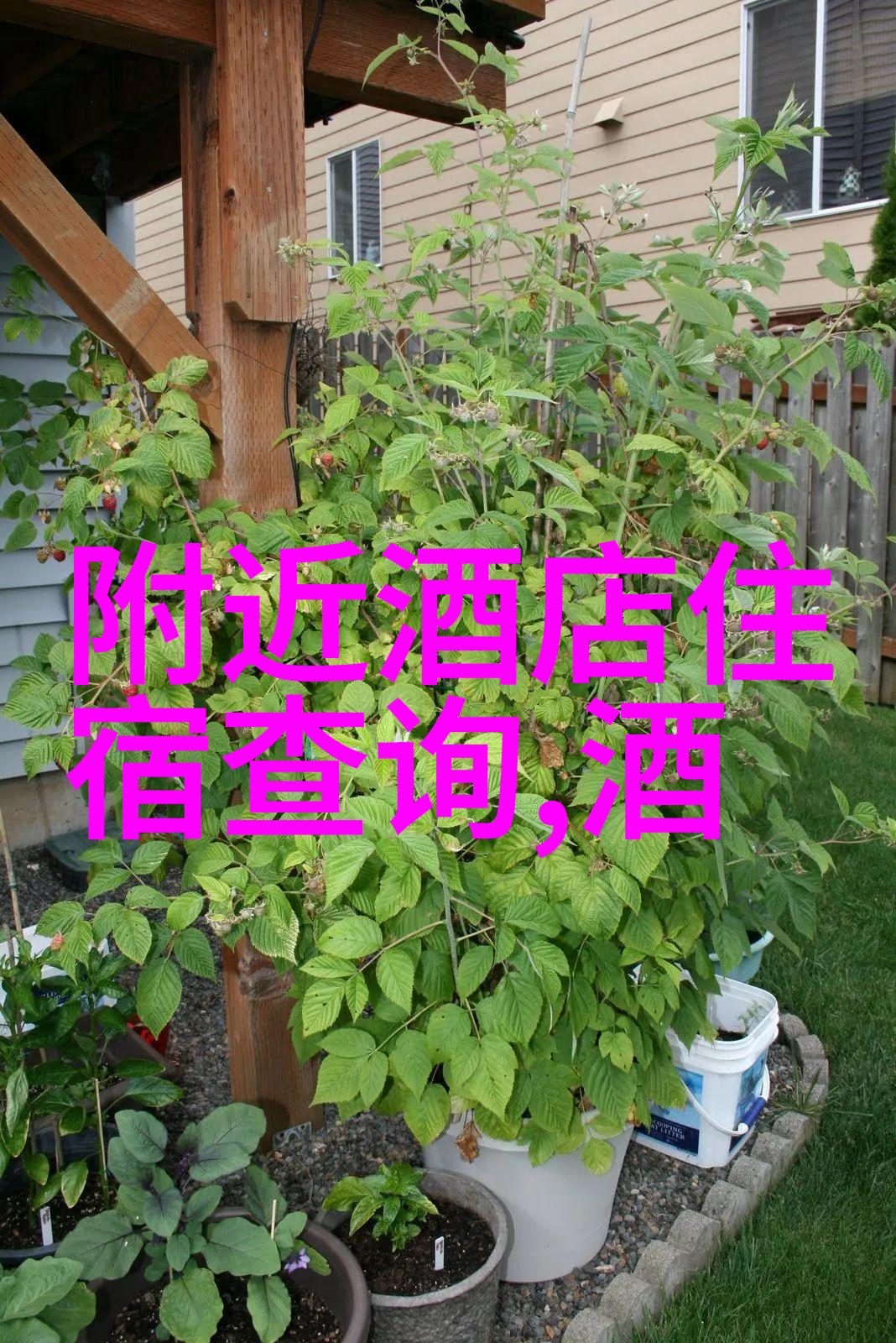 綦江木瓜海棠园新疆赛里木湖的自然之冠