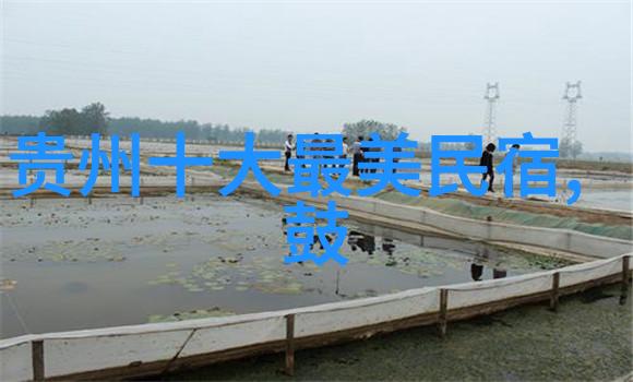 静谧办公室中的疯狂探险
