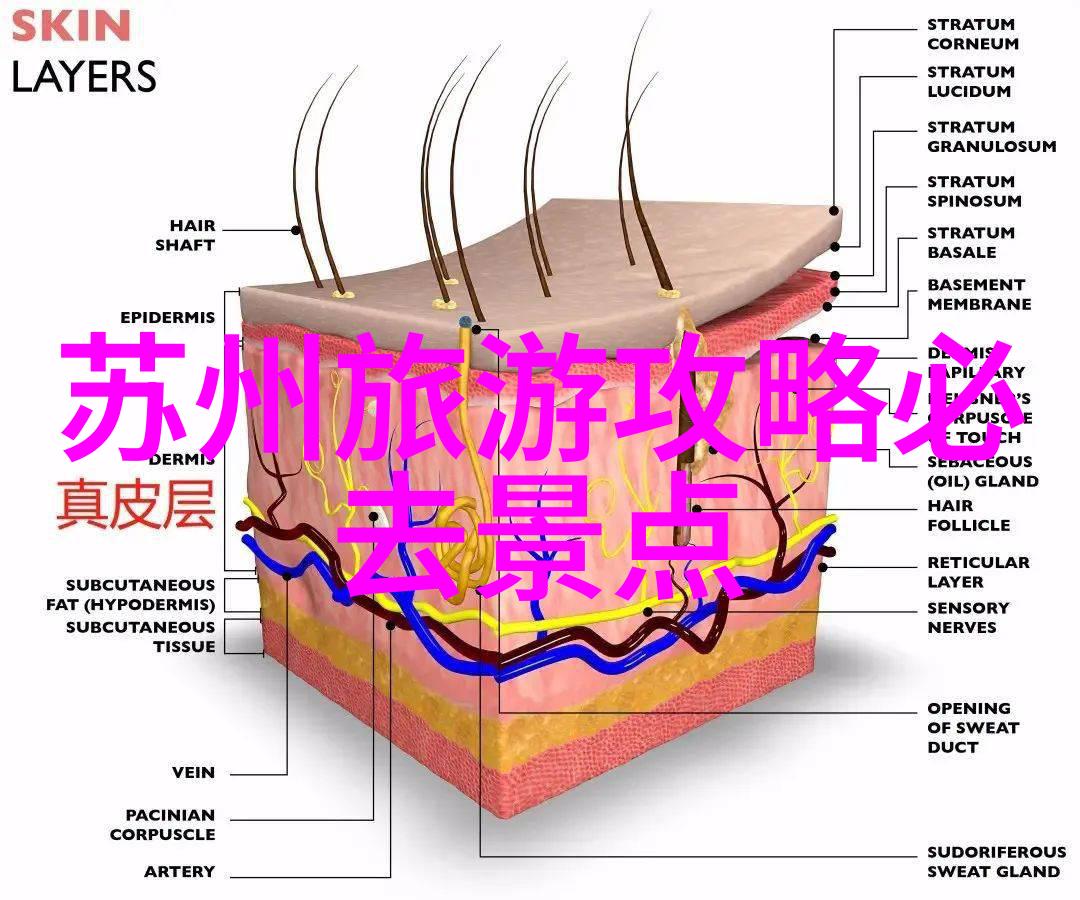 四年级游记作文大全 - 探索梦想四年级生们的校外学习之旅