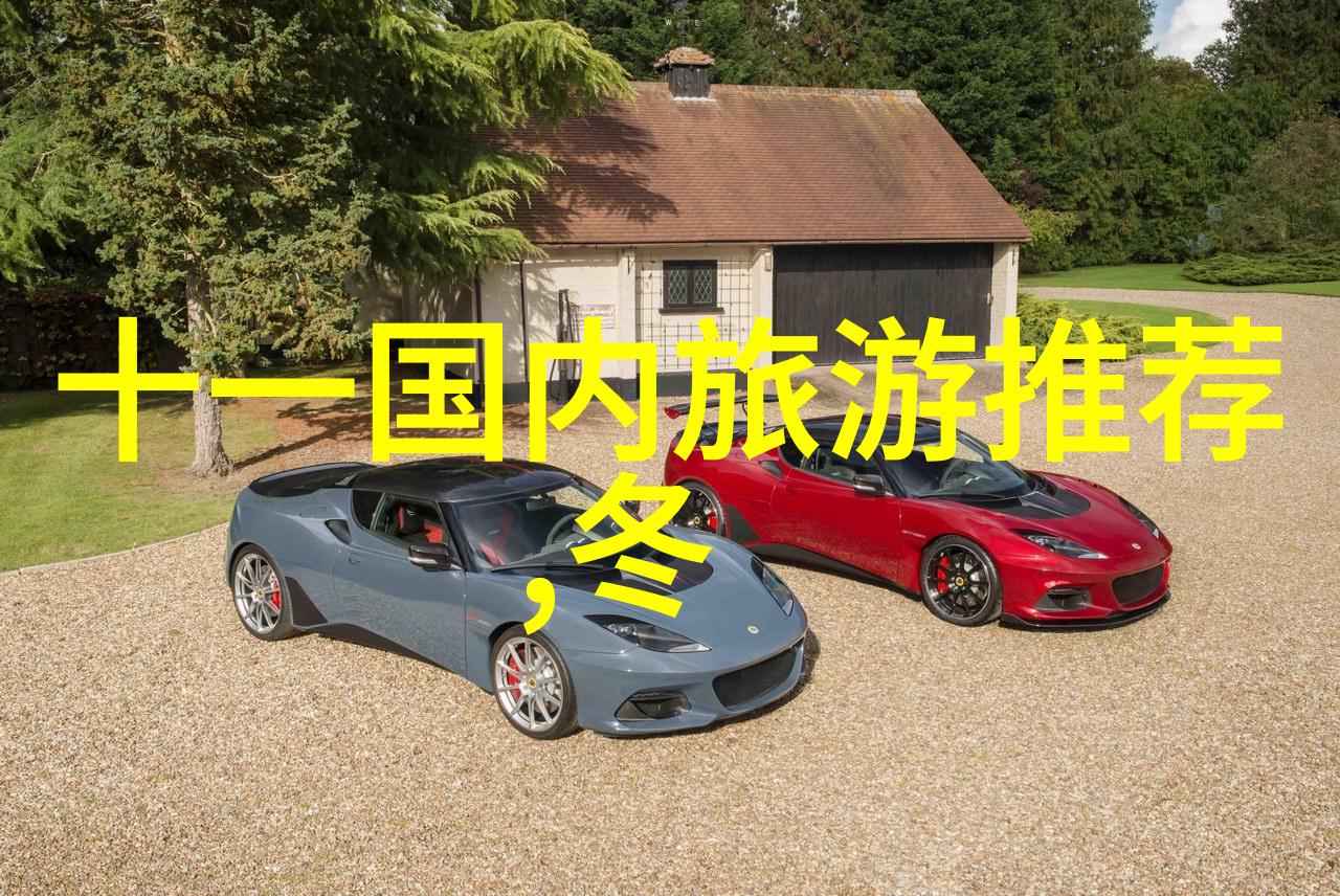 318川藏骑行悲剧狼群袭击骑客惨遭噬咽