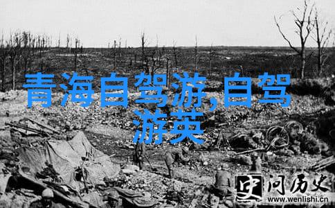 新疆自驾游攻略 - 途途奇遇揭秘丝绸之路的神秘魅力