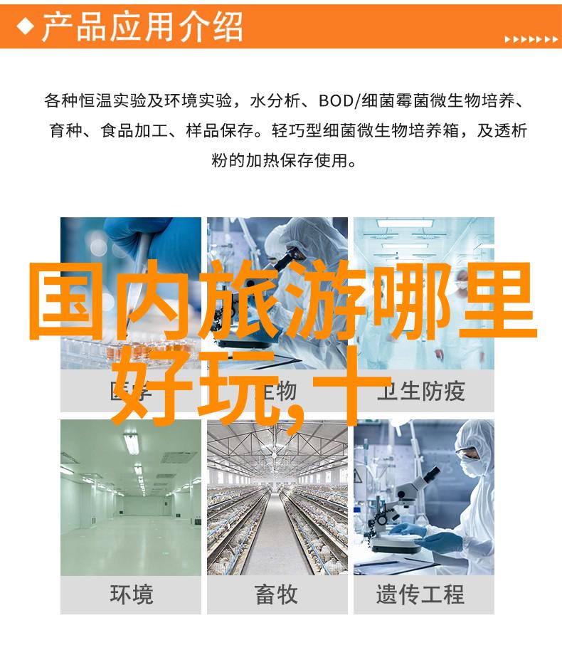 贵定藏族自治县文化艺术节盛况一场融合传统与现代的庆典