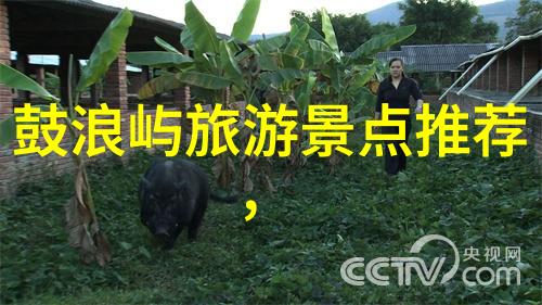 梦游世界边际探索心灵的无限篇章