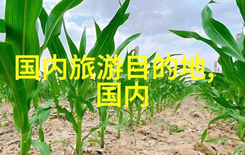 旅游攻略-曲阜住宿攻略寻找传统文化与现代舒适的完美结合