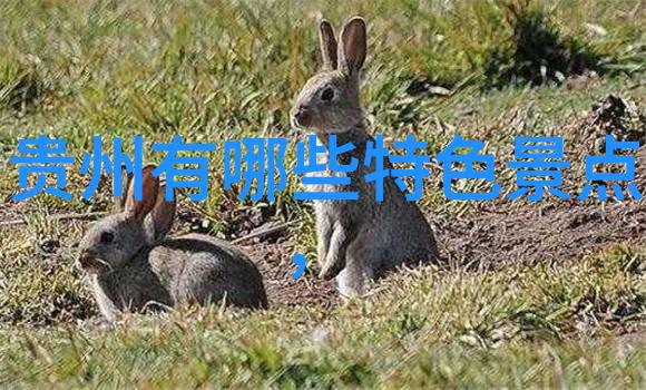 院释迦舍利塔地宫