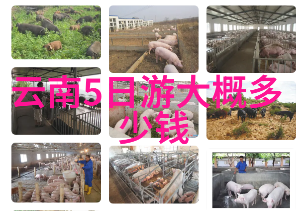 5月逆袭旅行从喧嚣都市到静谧山村的奇妙转变