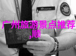 男帝的征途权谋与荣耀
