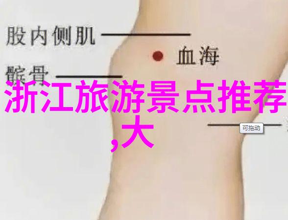 追逐风景共赴骑行之旅中国十大主播的冒险足迹