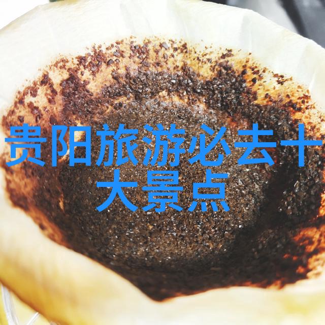 儿童的智慧宝库探索室内拓展训练空间