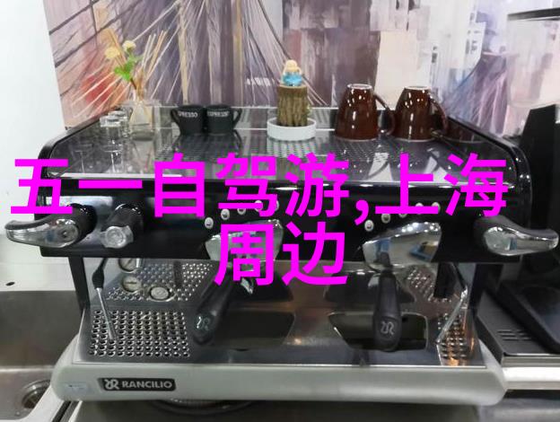 城市美食探索品味上海的热门佳肴