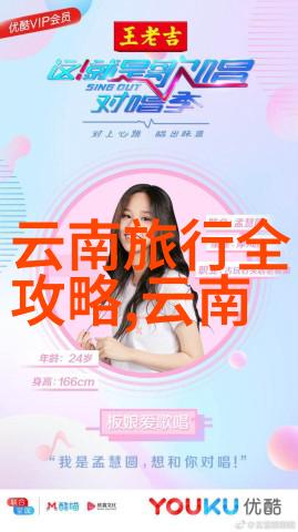 北京小吃攻略 - 尝遍京味揭秘北京街头美食的最佳选择与经典路线