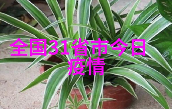 他和情敌恋爱了 - 爱恨交织的复杂关系