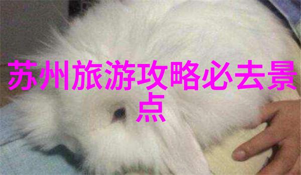 户外活动-探索自然的魅力野外徒步与生态观察
