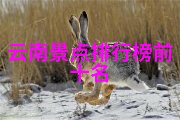 阳台生活探索从未尝试的新体验