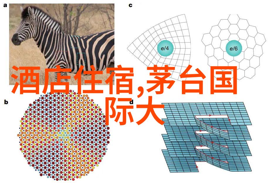 西湖梦幕探秘杭州这片水乡天地