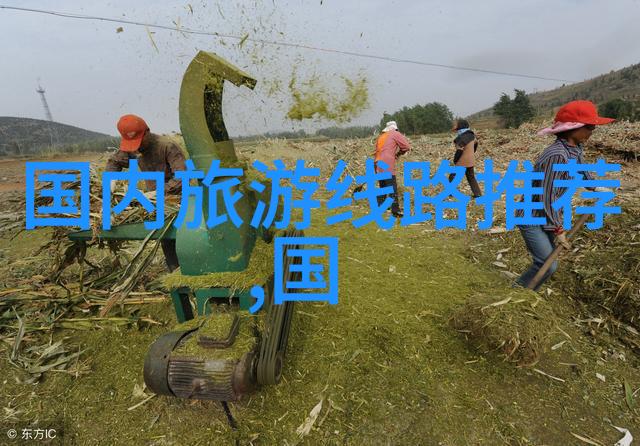未知的野外揭秘户外拓展活动背后的真相